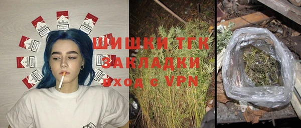 индика Верхний Тагил