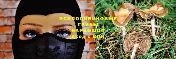 индика Верхний Тагил