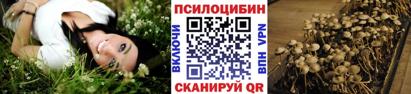 Галлюциногенные грибы Psilocybe  ссылка на мегу ССЫЛКА  Гурьевск 